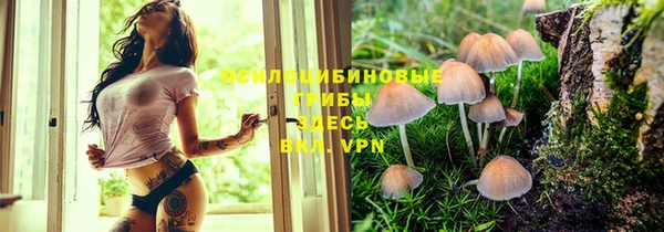 первитин Лиски