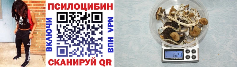 закладки Тамбов Псилоцибиновые грибы прущие грибы