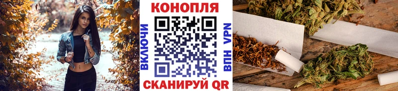 kraken tor  Тамбов  Марихуана ГИДРОПОН  сколько стоит 